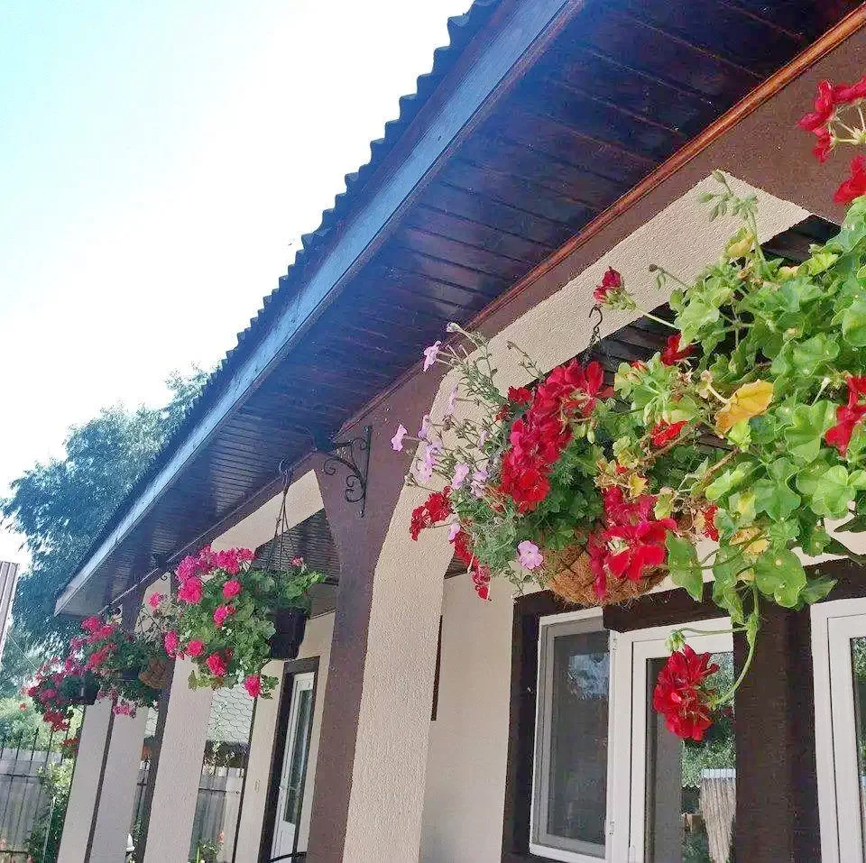 Mila 23 Cazare | Motel (K1294-21) Imaginea poate fi supusă drepturilor de autor. Se recomandă contactarea titularului drepturilor.