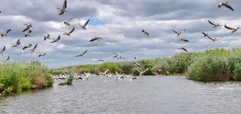 Mila 23 Cazare | Motel (K1294-35) Imaginea poate fi supusă drepturilor de autor. Se recomandă contactarea titularului drepturilor.