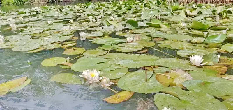 Mila 23 Cazare | Motel (K1294-37) Imaginea poate fi supusă drepturilor de autor. Se recomandă contactarea titularului drepturilor.