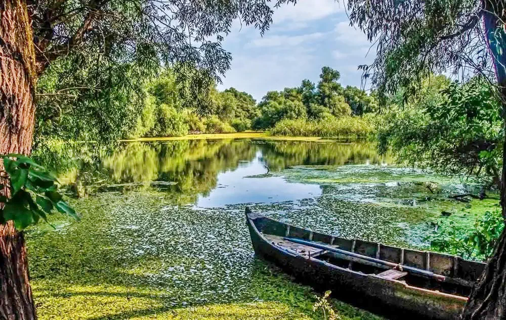  Szállás | Motel (K1304-29) A kép szerzői jogvédelem alatt állhat. Javasolt a kapcsolatfelvétel a jog tulajdonossal.