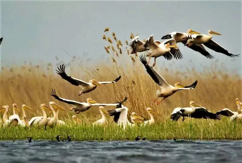 Mila 23 Cazare | Motel (K1304-30) Imaginea poate fi supusă drepturilor de autor. Se recomandă contactarea titularului drepturilor.