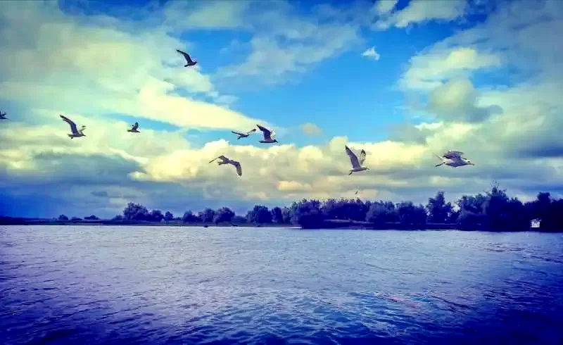 Mila 23 Cazare | Motel (K1297-46) Imaginea poate fi supusă drepturilor de autor. Se recomandă contactarea titularului drepturilor.