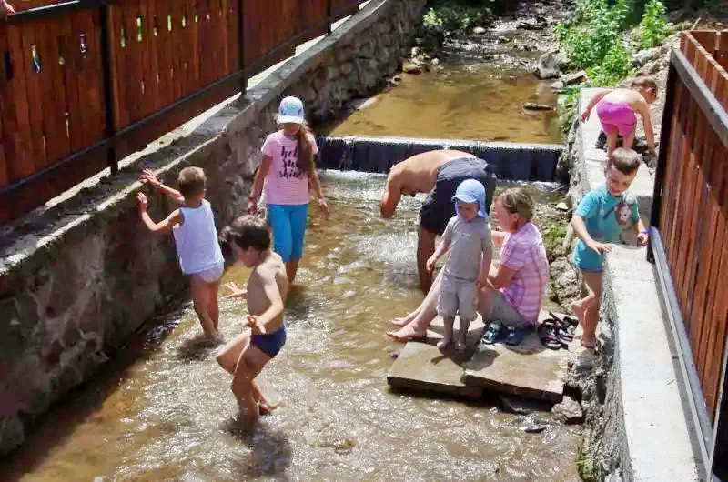 Cazare Miercurea Ciuc - Pensiunea Szécsény 88  Szabadidőpark | Csíkszereda - Szécsény 88 Szabadidőpark - volt Zöldfenyő Panzió. Imaginea poate fi supusă drepturilor de autor. Se recomandă contactarea titularului drepturilor.