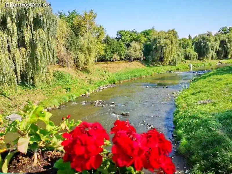 Cazare Odorheiu Secuiesc - Pensiunea Horizont*** | Székelyudvarhely - Horizont Panzió és Apartmanok***. Imaginea poate fi supusă drepturilor de autor. Se recomandă contactarea titularului drepturilor.