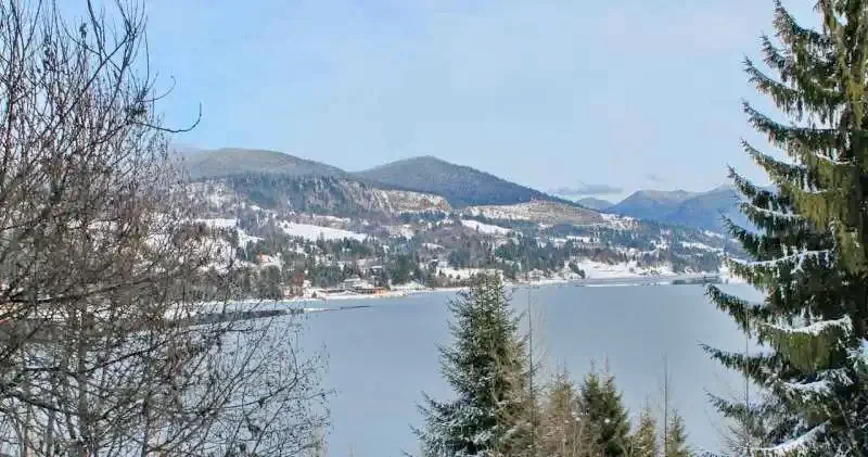 Kolibica Szállás | Motel (K1278-19) A kép szerzői jogvédelem alatt állhat. Javasolt a kapcsolatfelvétel a jog tulajdonossal.