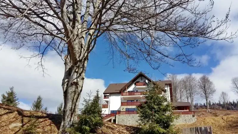 Kolibica Szállás | Motel (K1281-29) A kép szerzői jogvédelem alatt állhat. Javasolt a kapcsolatfelvétel a jog tulajdonossal.