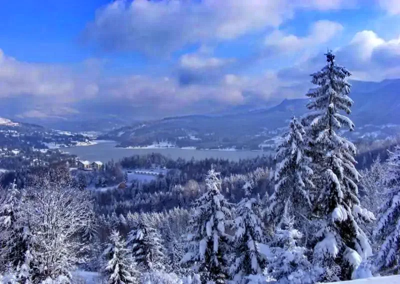 Colibița Cazare | Motel (K1281-30) Imaginea poate fi supusă drepturilor de autor. Se recomandă contactarea titularului drepturilor.