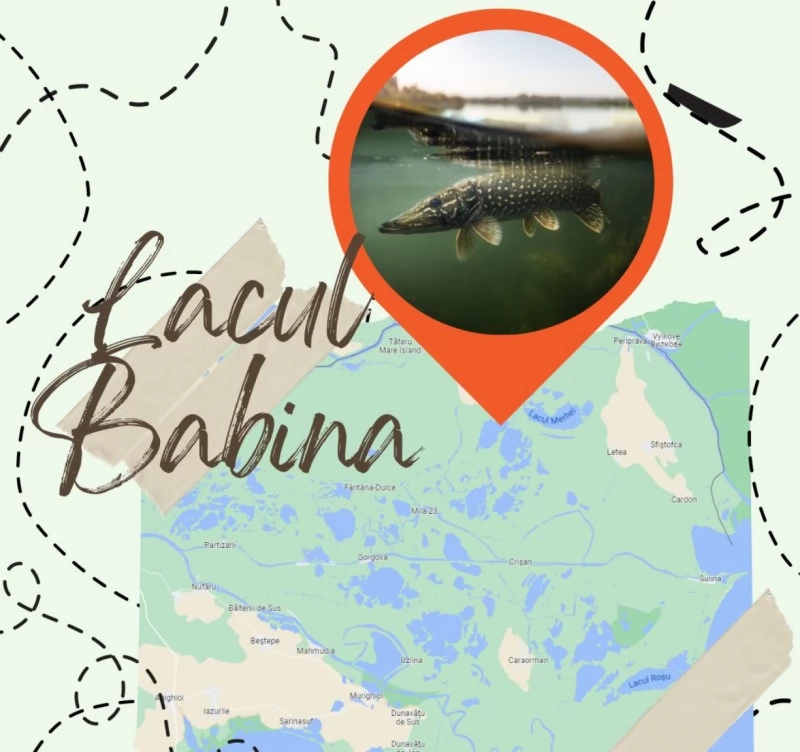 Chilia Veche Cazare | Motel (K1486-28) Imaginea poate fi supusă drepturilor de autor. Se recomandă contactarea titularului drepturilor.