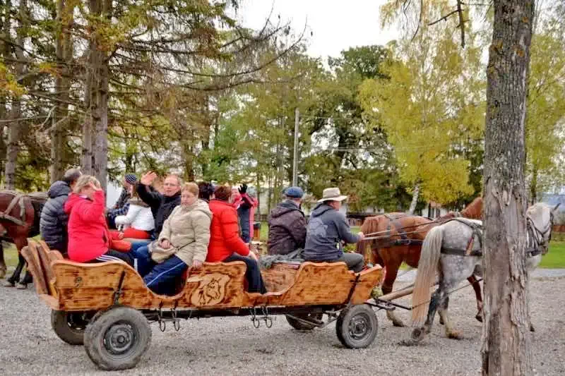 Farkaslaka Szállás | Panzió (K0356-32) A kép szerzői jogvédelem alatt állhat. Javasolt a kapcsolatfelvétel a jog tulajdonossal.