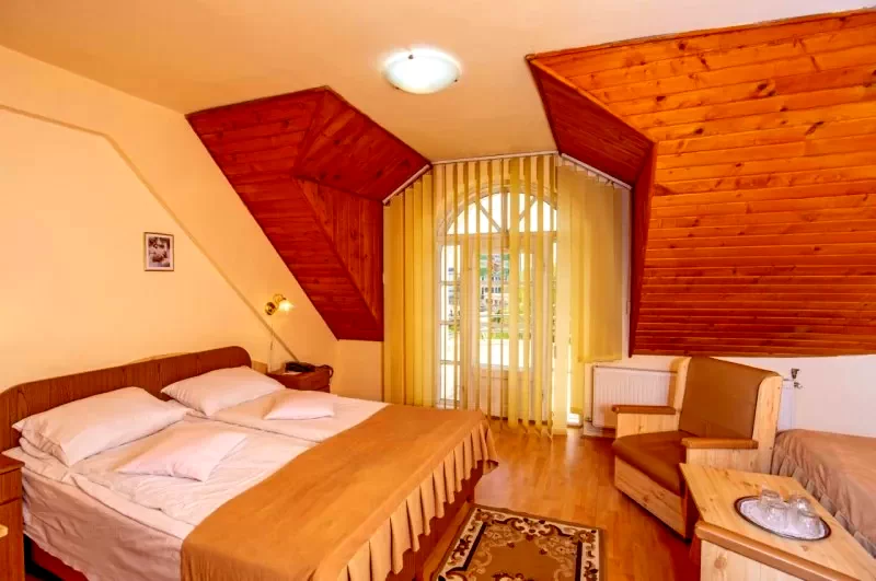 Sfântu Gheorghe Cazare | Hotel*** (K1433-19) Imaginea poate fi supusă drepturilor de autor. Se recomandă contactarea titularului drepturilor.