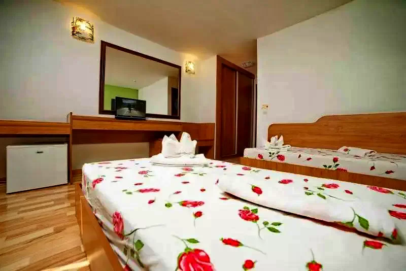 Tulcea Cazare | Hotel*** (K1309-28) Imaginea poate fi supusă drepturilor de autor. Se recomandă contactarea titularului drepturilor.