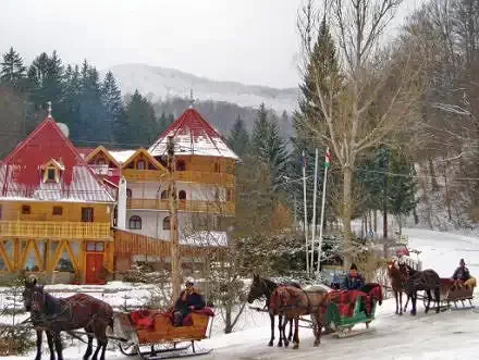 Bálványosfürdő Szállás | Hotel*** (K0411-26) A kép szerzői jogvédelem alatt állhat. Javasolt a kapcsolatfelvétel a jog tulajdonossal.