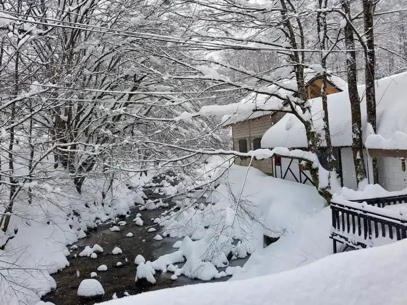 Valea Boga Cazare | Cabană (K1146-22) Imaginea poate fi supusă drepturilor de autor. Se recomandă contactarea titularului drepturilor.