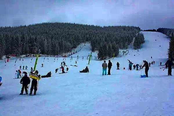 Szállás Valea Boghii - Cabana Krokusz | Boga-völgye - Krókusz kulcsosház. A kép szerzői jogvédelem alatt állhat. Javasolt a kapcsolatfelvétel a jog tulajdonossal.