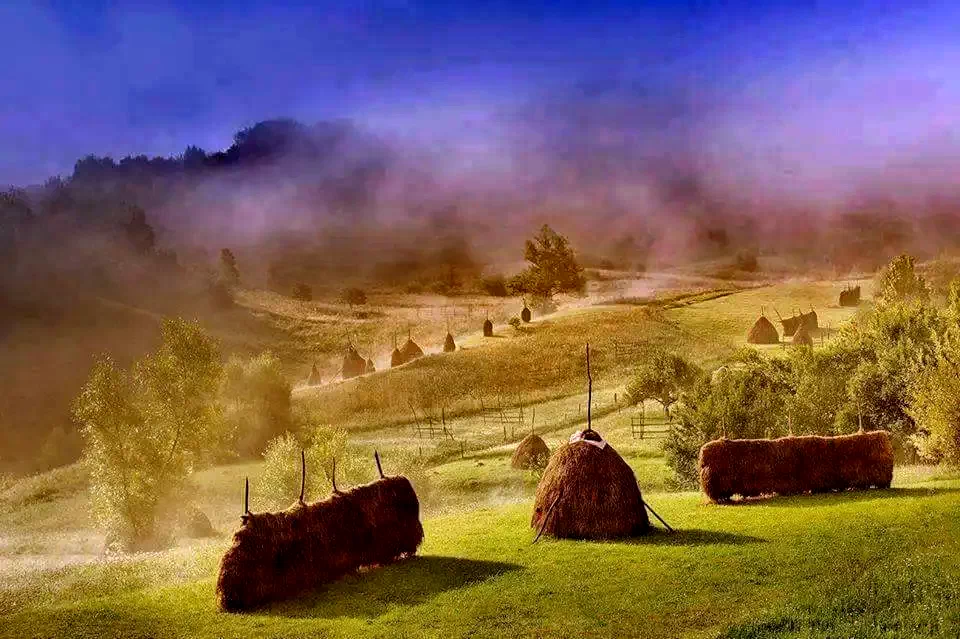 Borșa Cazare | Hostel (K1229-1) Imaginea poate fi supusă drepturilor de autor. Se recomandă contactarea titularului drepturilor.