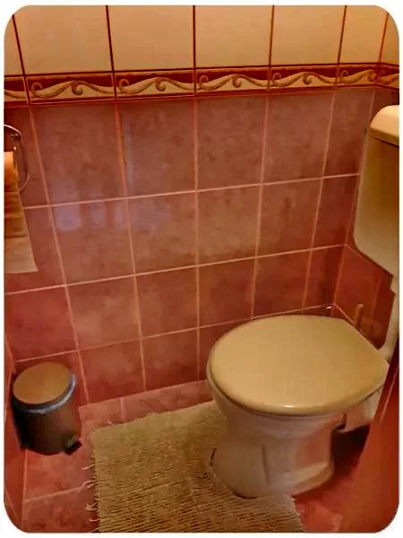  Cazare | Bungalow (K1101-50) Imaginea poate fi supusă drepturilor de autor. Se recomandă contactarea titularului drepturilor.