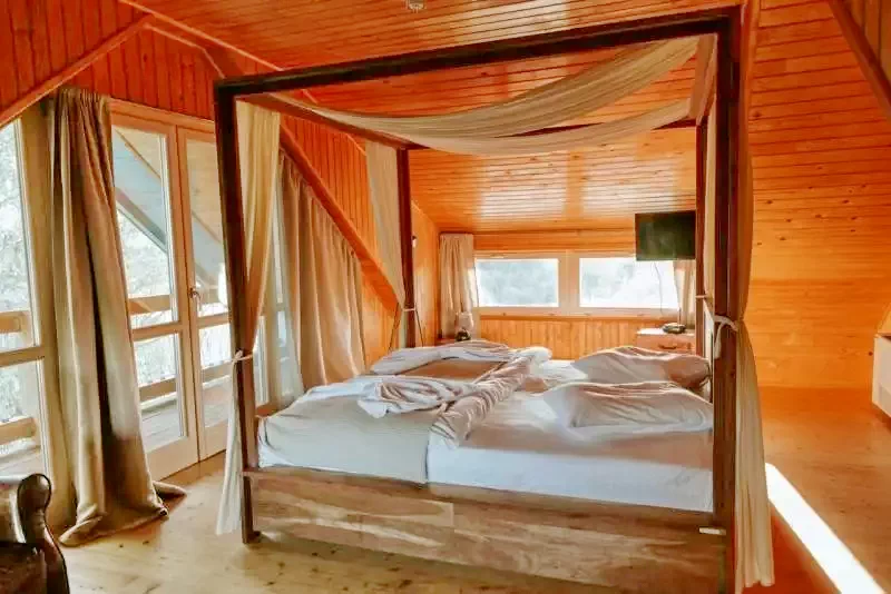 Crișan Cazare | Hotel**** (K1328-7) Imaginea poate fi supusă drepturilor de autor. Se recomandă contactarea titularului drepturilor.