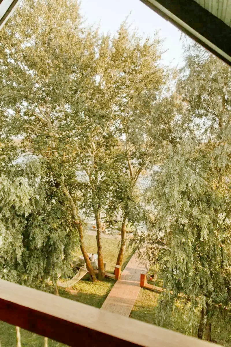 Crișan Cazare | Hotel**** (K1328-24) Imaginea poate fi supusă drepturilor de autor. Se recomandă contactarea titularului drepturilor.