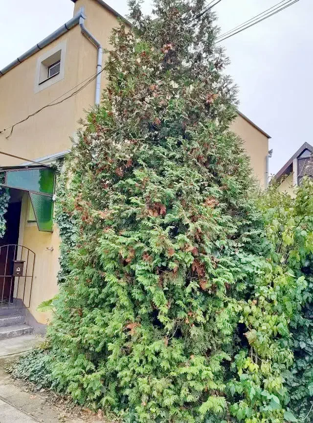 Gyula Szállás | Apartmanház (K1060-27) A kép szerzői jogvédelem alatt állhat. Javasolt a kapcsolatfelvétel a jog tulajdonossal.