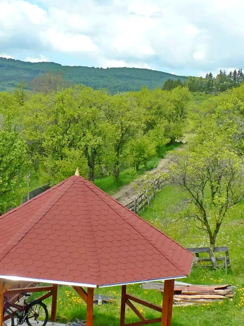 Székelydobó Szállás | Motel (K0602-13) A kép szerzői jogvédelem alatt állhat. Javasolt a kapcsolatfelvétel a jog tulajdonossal.