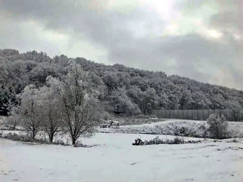 Szilágysomlyó Szállás | Panzió (K1344-23) A kép szerzői jogvédelem alatt állhat. Javasolt a kapcsolatfelvétel a jog tulajdonossal.