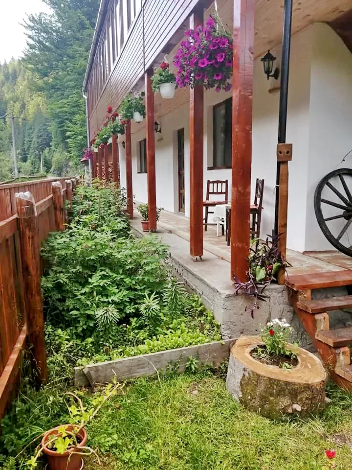 Gârda de Sus Cazare | Motel (K0325-7) Imaginea poate fi supusă drepturilor de autor. Se recomandă contactarea titularului drepturilor.