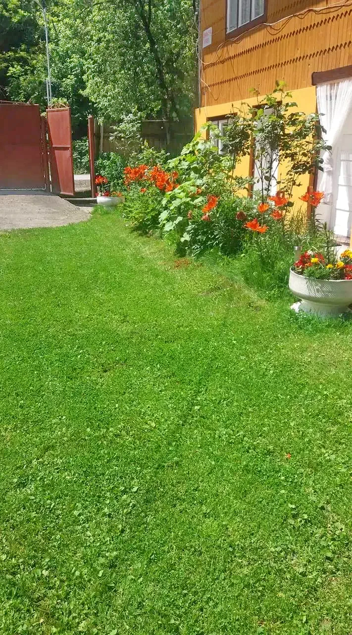 Felsőgirda Szállás | Motel (K0325-23) A kép szerzői jogvédelem alatt állhat. Javasolt a kapcsolatfelvétel a jog tulajdonossal.