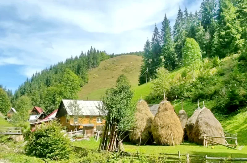 Gârda de Sus Cazare | Motel (K0325-34) Imaginea poate fi supusă drepturilor de autor. Se recomandă contactarea titularului drepturilor.