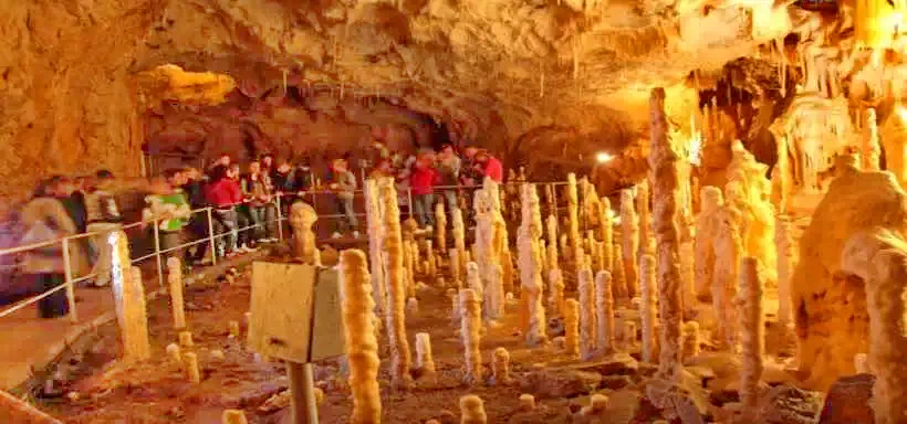 Gârda de Sus Cazare | Motel (K0325-39) Imaginea poate fi supusă drepturilor de autor. Se recomandă contactarea titularului drepturilor.