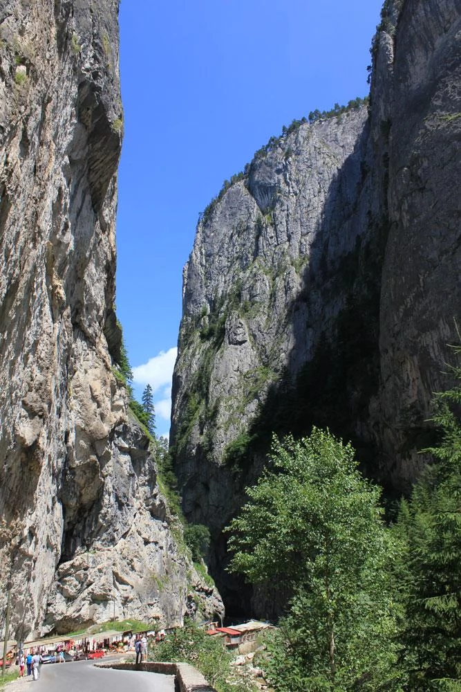 Szállás Izvoru Mureșului - Pensiunea Gyopár*** | Marosfő - Gyopár Panzió***. A kép szerzői jogvédelem alatt állhat. Javasolt a kapcsolatfelvétel a jog tulajdonossal.