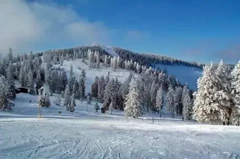 Hargitafürdő Szállás | Panzió (K0292-14) A kép szerzői jogvédelem alatt állhat. Javasolt a kapcsolatfelvétel a jog tulajdonossal.