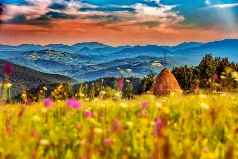 Borșa Cazare | Camping / Popas turistic (K1226-14) Imaginea poate fi supusă drepturilor de autor. Se recomandă contactarea titularului drepturilor.