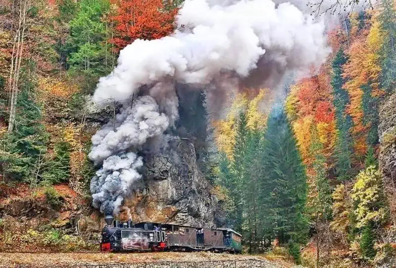 Borșa Cazare | Camping / Popas turistic (K1226-19) Imaginea poate fi supusă drepturilor de autor. Se recomandă contactarea titularului drepturilor.