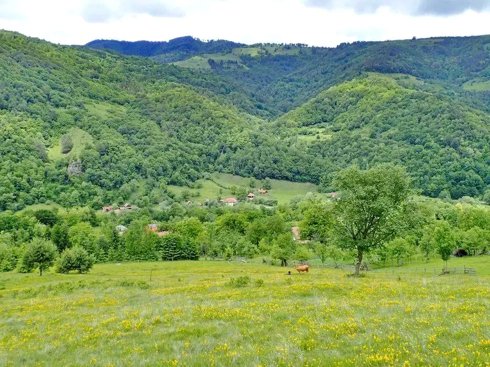  Szállás | Panzió (K0154-39) A kép szerzői jogvédelem alatt állhat. Javasolt a kapcsolatfelvétel a jog tulajdonossal.