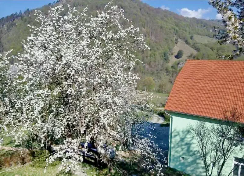  Szállás | Panzió (K0155-20) A kép szerzői jogvédelem alatt állhat. Javasolt a kapcsolatfelvétel a jog tulajdonossal.