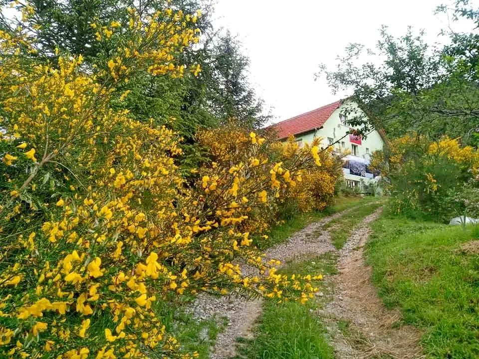  Szállás | Panzió (K0155-26) A kép szerzői jogvédelem alatt állhat. Javasolt a kapcsolatfelvétel a jog tulajdonossal.