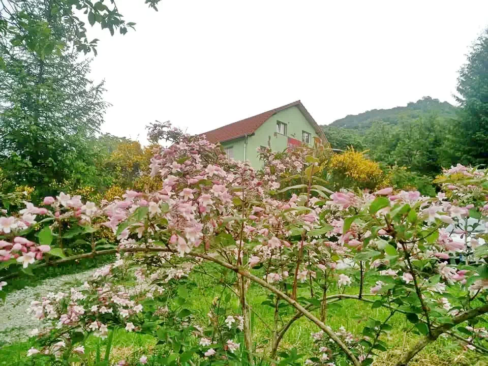  Szállás | Panzió (K0155-40) A kép szerzői jogvédelem alatt állhat. Javasolt a kapcsolatfelvétel a jog tulajdonossal.