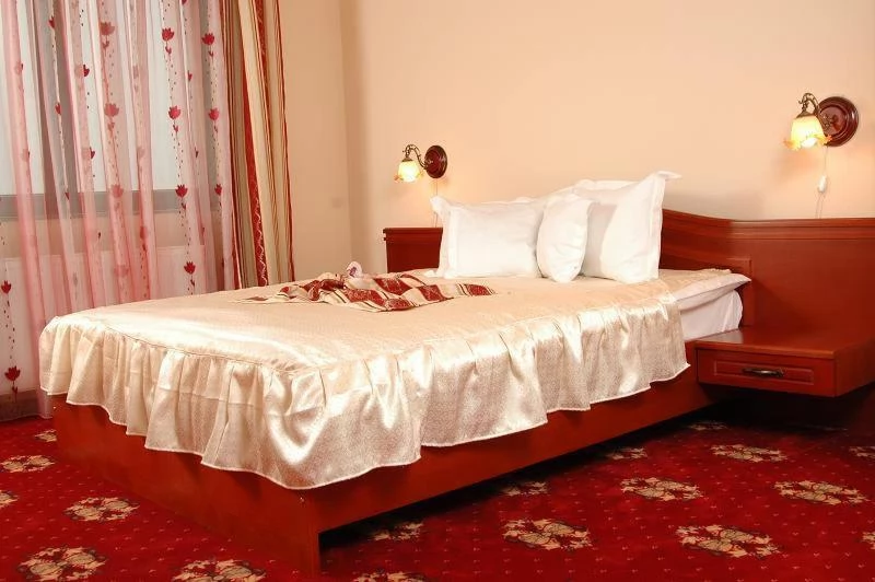 Satu Mare Cazare | Hotel*** (K1171-16) Imaginea poate fi supusă drepturilor de autor. Se recomandă contactarea titularului drepturilor.