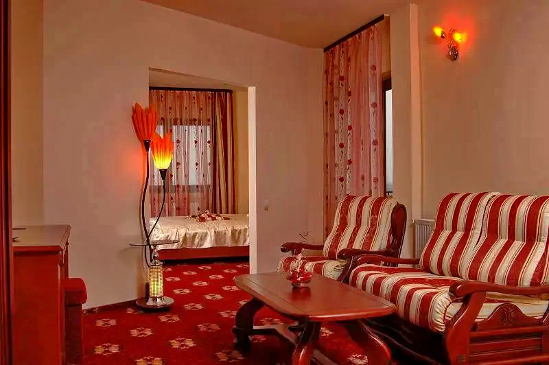 Satu Mare Cazare | Hotel*** (K1171-27) Imaginea poate fi supusă drepturilor de autor. Se recomandă contactarea titularului drepturilor.