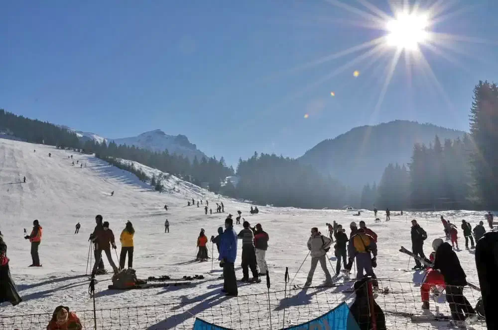 Magura Szállás | Villa (K1114-22) A kép szerzői jogvédelem alatt állhat. Javasolt a kapcsolatfelvétel a jog tulajdonossal.