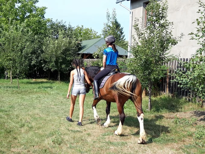 Székelyudvarhely Szállás | Panzió (K0091-50) A kép szerzői jogvédelem alatt állhat. Javasolt a kapcsolatfelvétel a jog tulajdonossal.