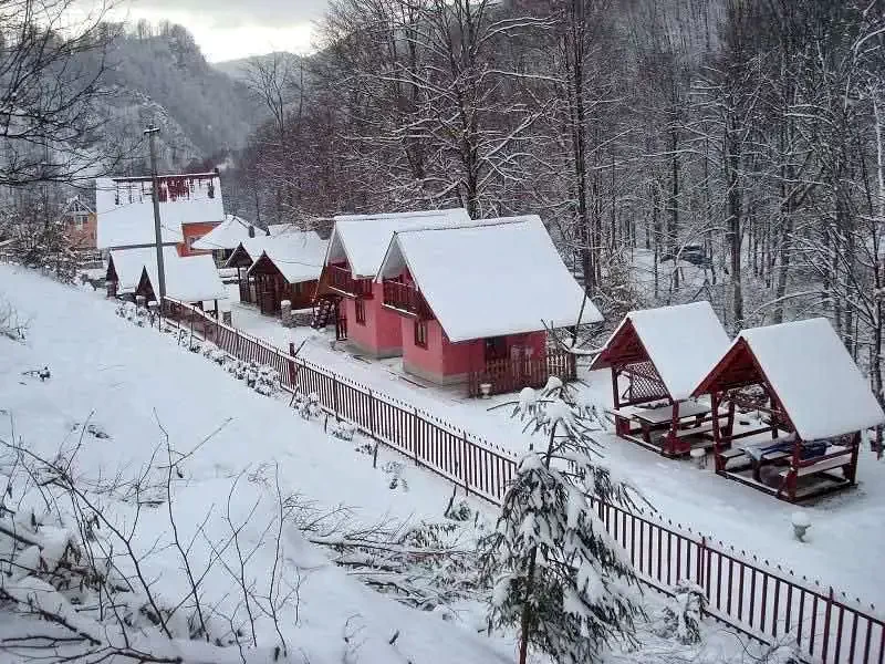 Szállás Valea Boghii - Vila Valea Rea** | Boga völgye - Valea Rea Villa**. A kép szerzői jogvédelem alatt állhat. Javasolt a kapcsolatfelvétel a jog tulajdonossal.