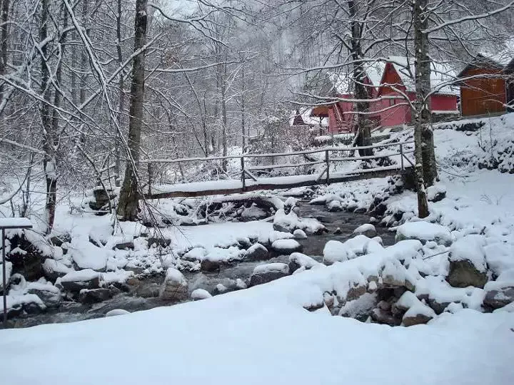 Szállás Valea Boghii - Vila Valea Rea** | Boga völgye - Valea Rea Villa**. A kép szerzői jogvédelem alatt állhat. Javasolt a kapcsolatfelvétel a jog tulajdonossal.