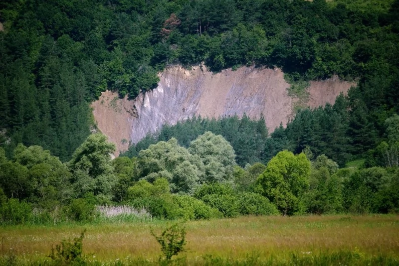 Câmpu Cetății Cazare | Casă de oaspeți (K1472-61) Imaginea poate fi supusă drepturilor de autor. Se recomandă contactarea titularului drepturilor.