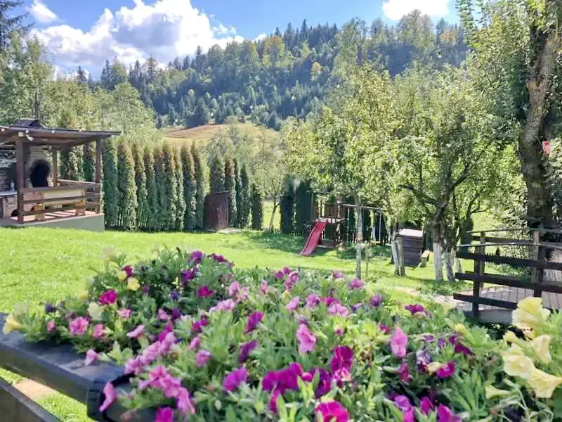 Colibița Cazare | Hotel**** (K1280-21) Imaginea poate fi supusă drepturilor de autor. Se recomandă contactarea titularului drepturilor.