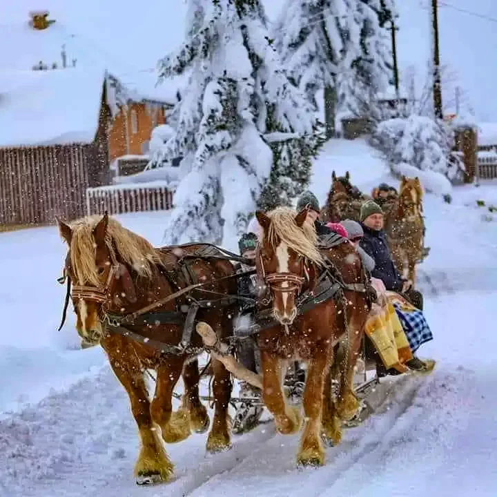 Küküllőkeményfalva Szállás | Kulcsosház (K1381-19) A kép szerzői jogvédelem alatt állhat. Javasolt a kapcsolatfelvétel a jog tulajdonossal.