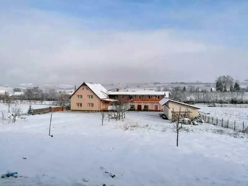 Szállás Morăreni - Pensiunea Ersa|Nyikómalomfalva - Ersa Panzió. A kép szerzői jogvédelem alatt állhat. Javasolt a kapcsolatfelvétel a jog tulajdonossal.