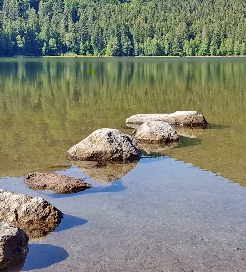 Szállás Băile Balvanyos - Hotel Transilvania*** | Bálványosfürdő - Transilvania Hotel***. A kép szerzői jogvédelem alatt állhat. Javasolt a kapcsolatfelvétel a jog tulajdonossal.