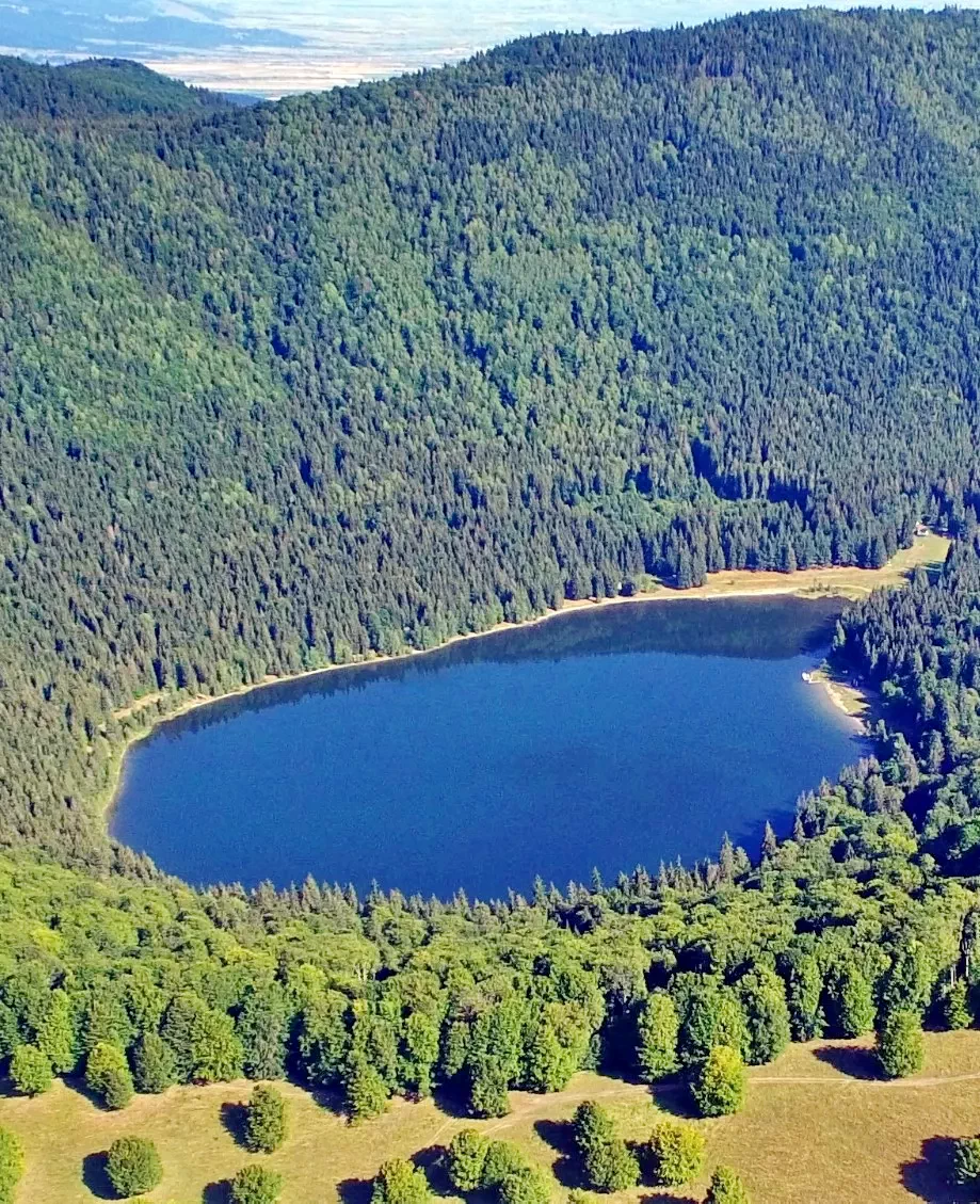 Szállás Băile Balvanyos - Hotel Transilvania*** | Bálványosfürdő - Transilvania Hotel***. A kép szerzői jogvédelem alatt állhat. Javasolt a kapcsolatfelvétel a jog tulajdonossal.