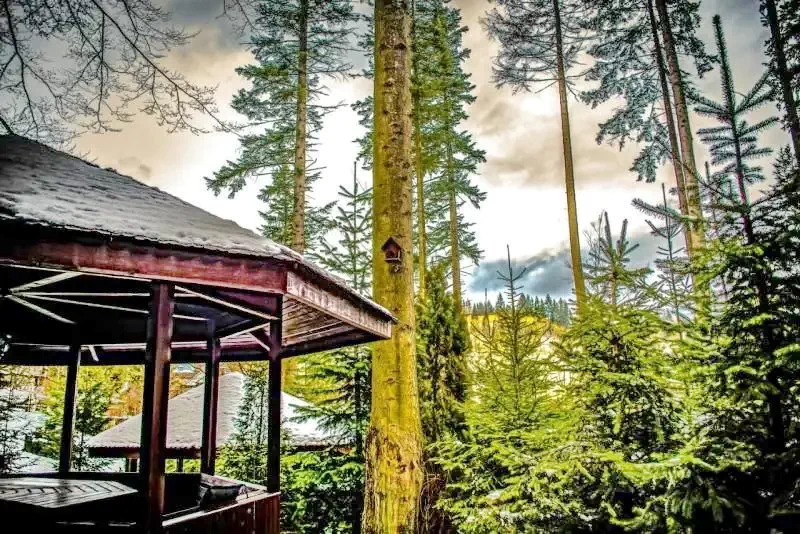 Sinaia Cazare | Hotel**** (K0525-58) Imaginea poate fi supusă drepturilor de autor. Se recomandă contactarea titularului drepturilor.